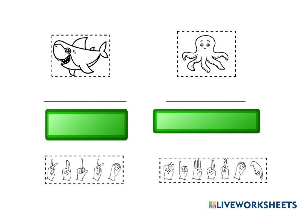 Animales marinos lsm