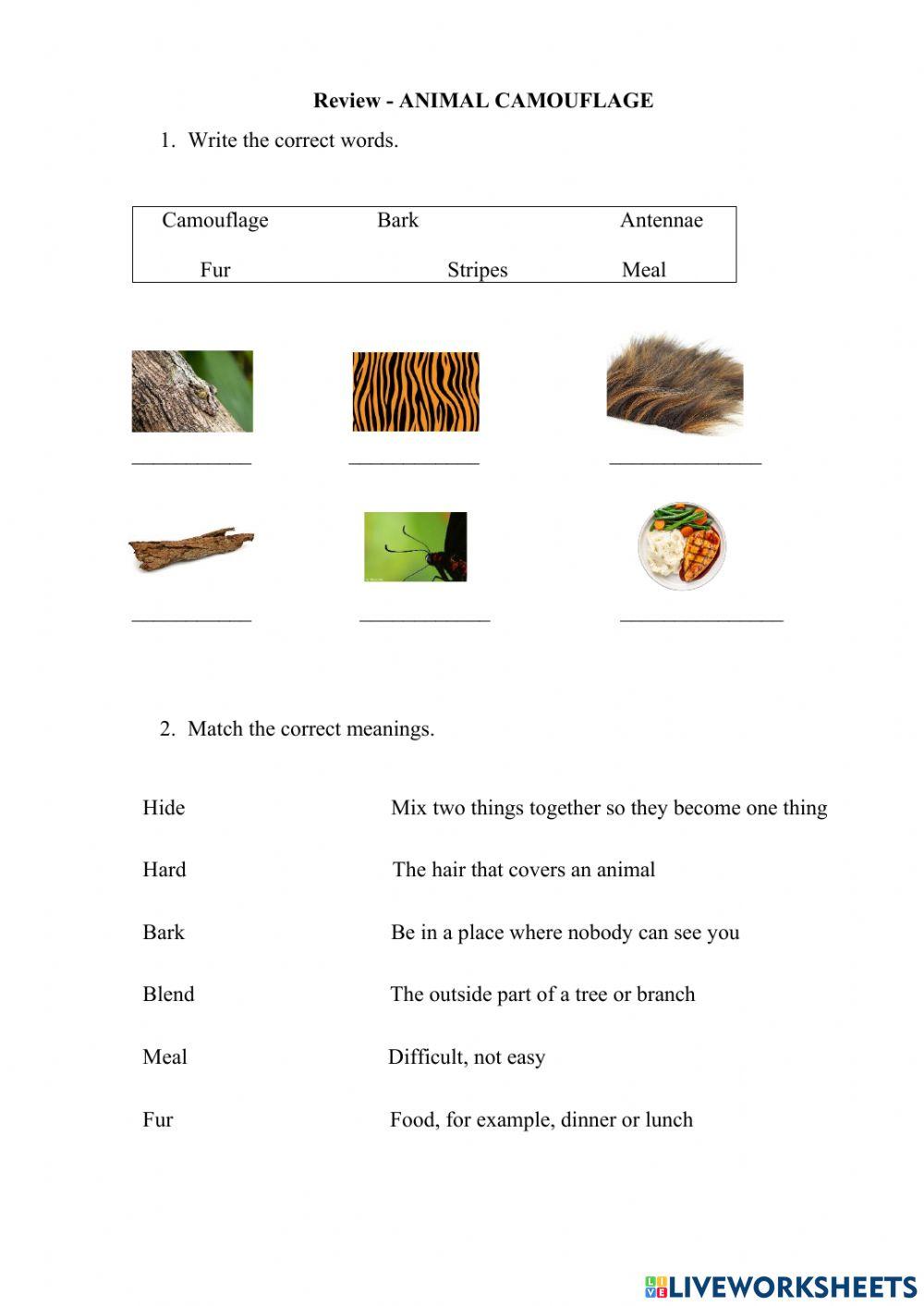 Review unit 4 lesson 5 global 2