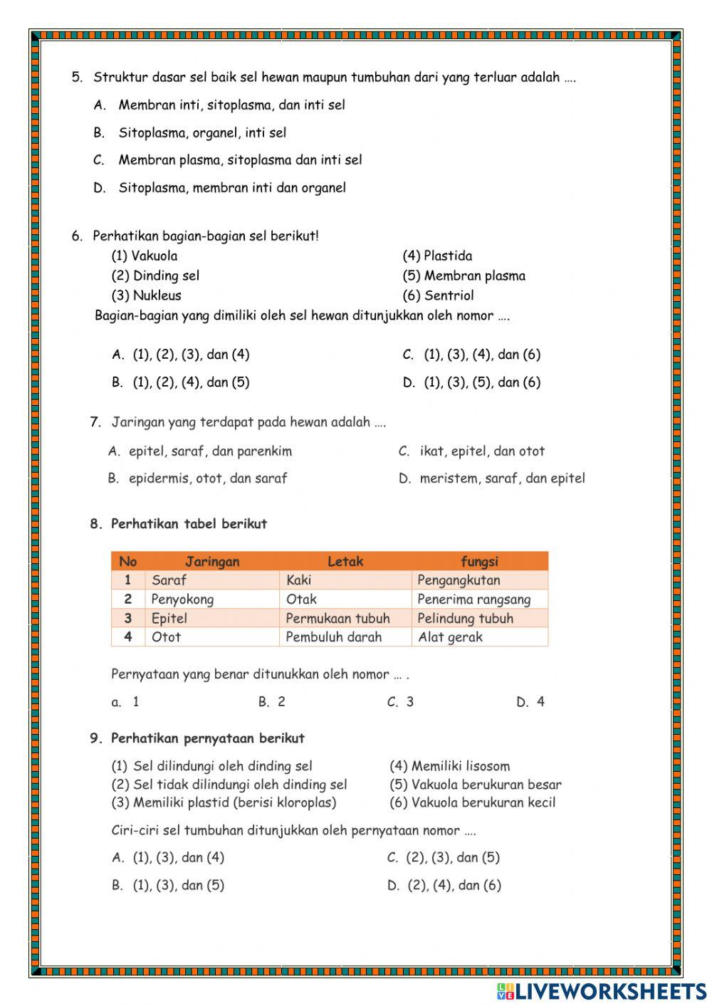 Organisasi Kehidupan