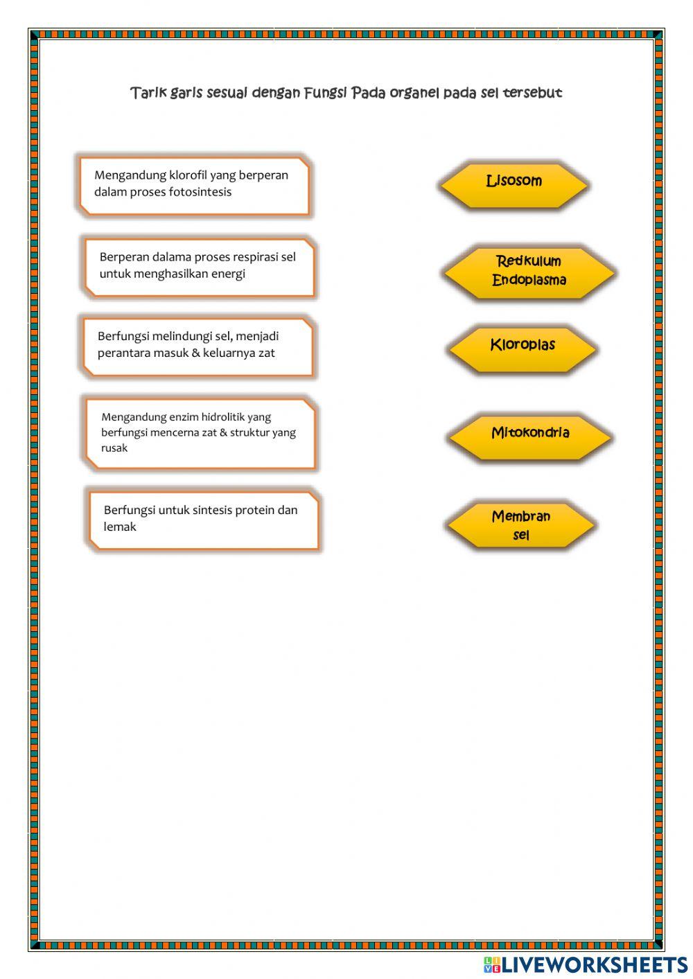 Organisasi Kehidupan