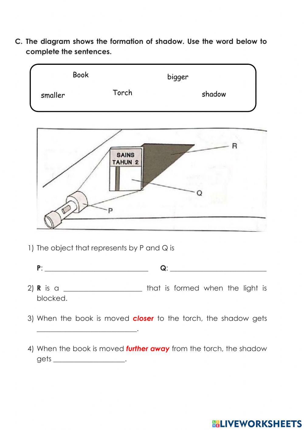 Unit Test 4-Light and Dark Primary 1