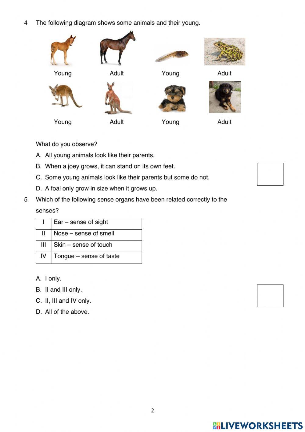 Y4 Science Topical Test (Unit 1)