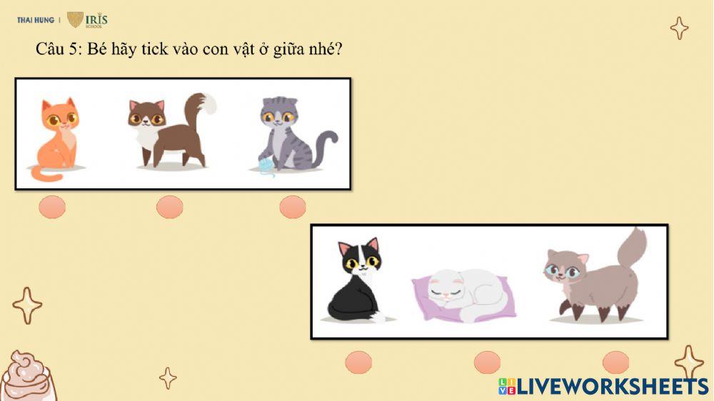 Toán Xác định trong không gian