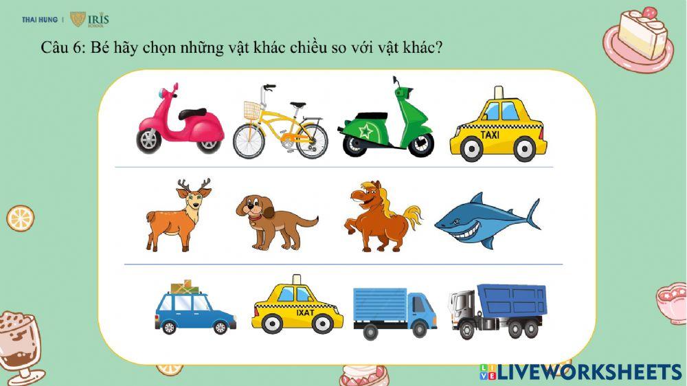 Toán Xác định trong không gian