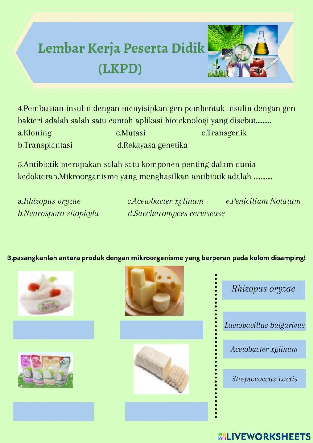E-LKPD Bioteknologi