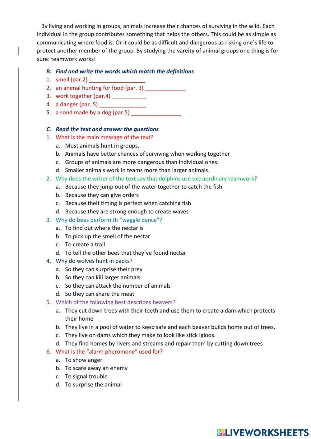 Animals and teamwork