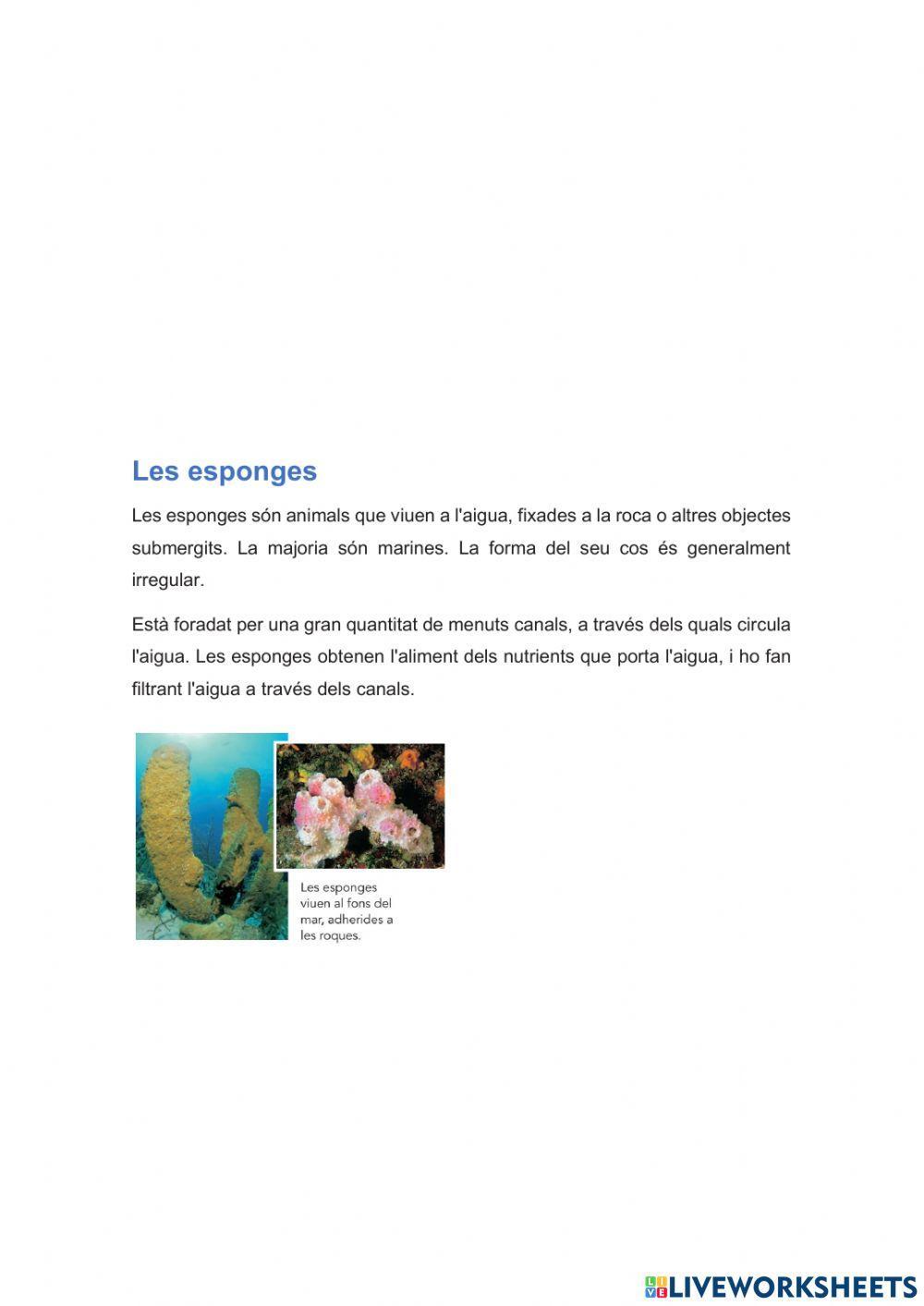 Els invertebrats 1ªparte