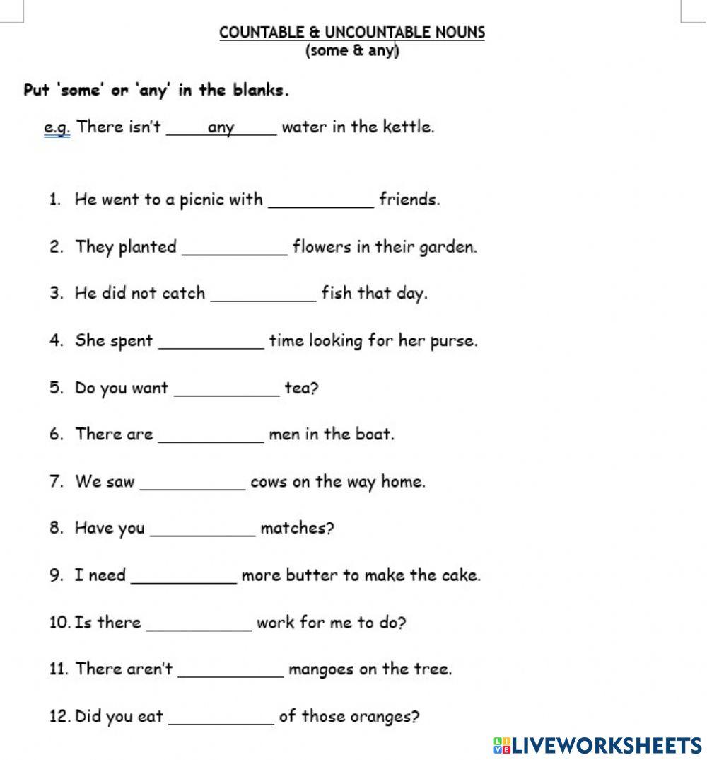 Countable and Uncountable Nouns ('some' & 'any')
