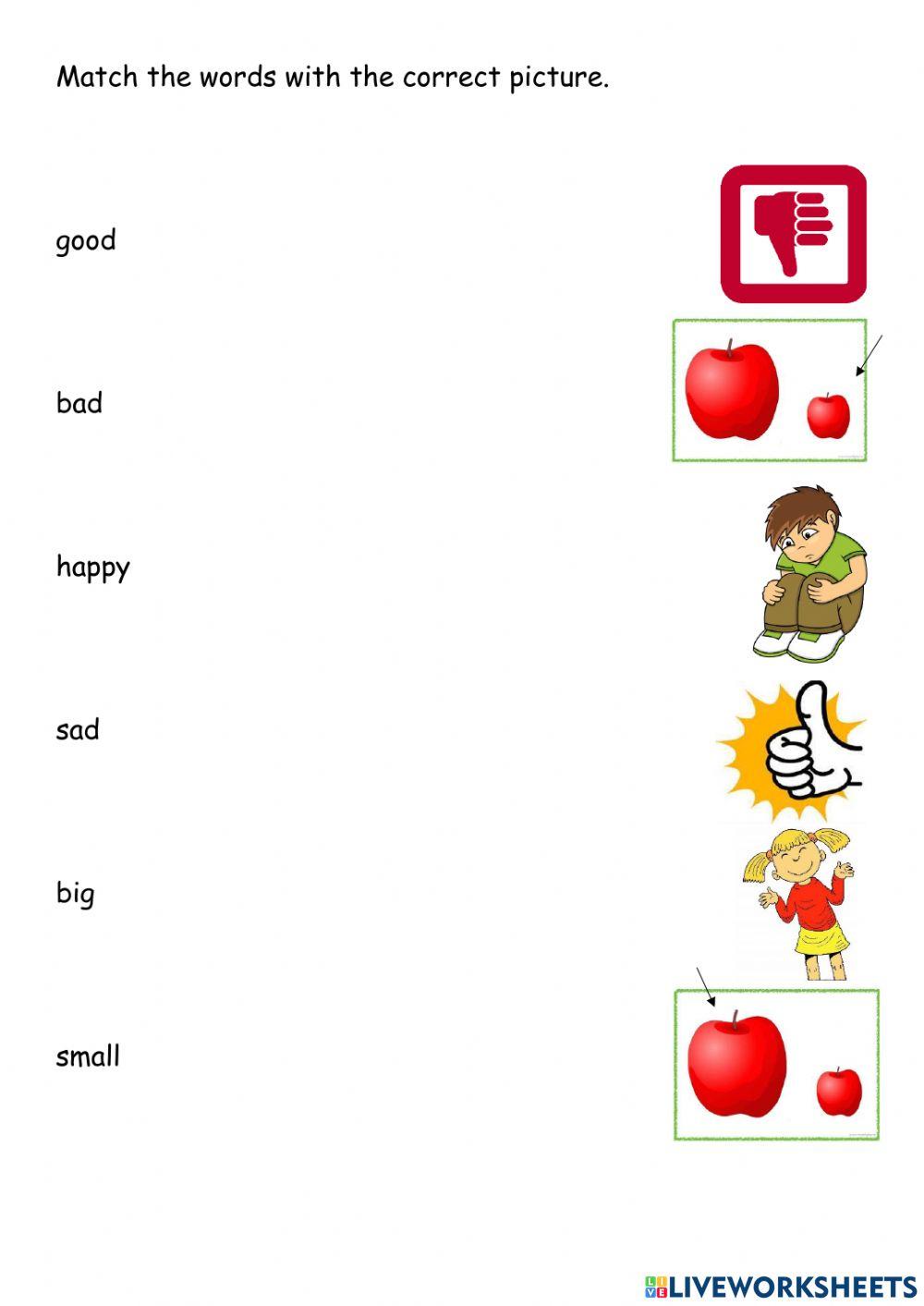 Vocabulary Online Exercise For Live Worksheets Vocabulary Online Exercise For Live Worksheets