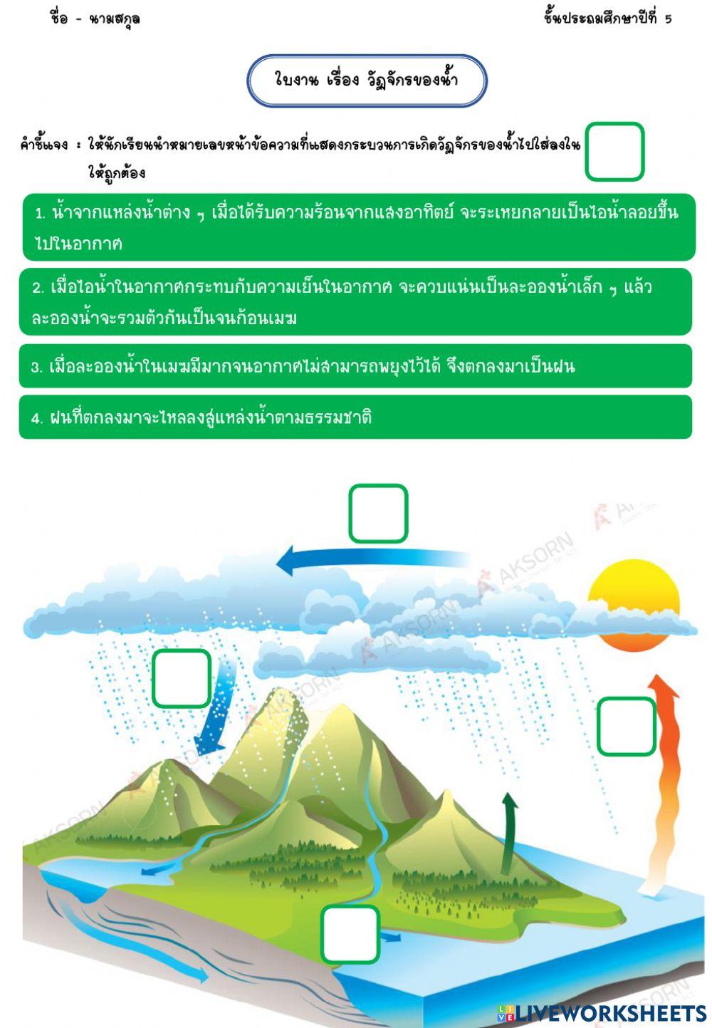 วัฏจักรของน้ำ