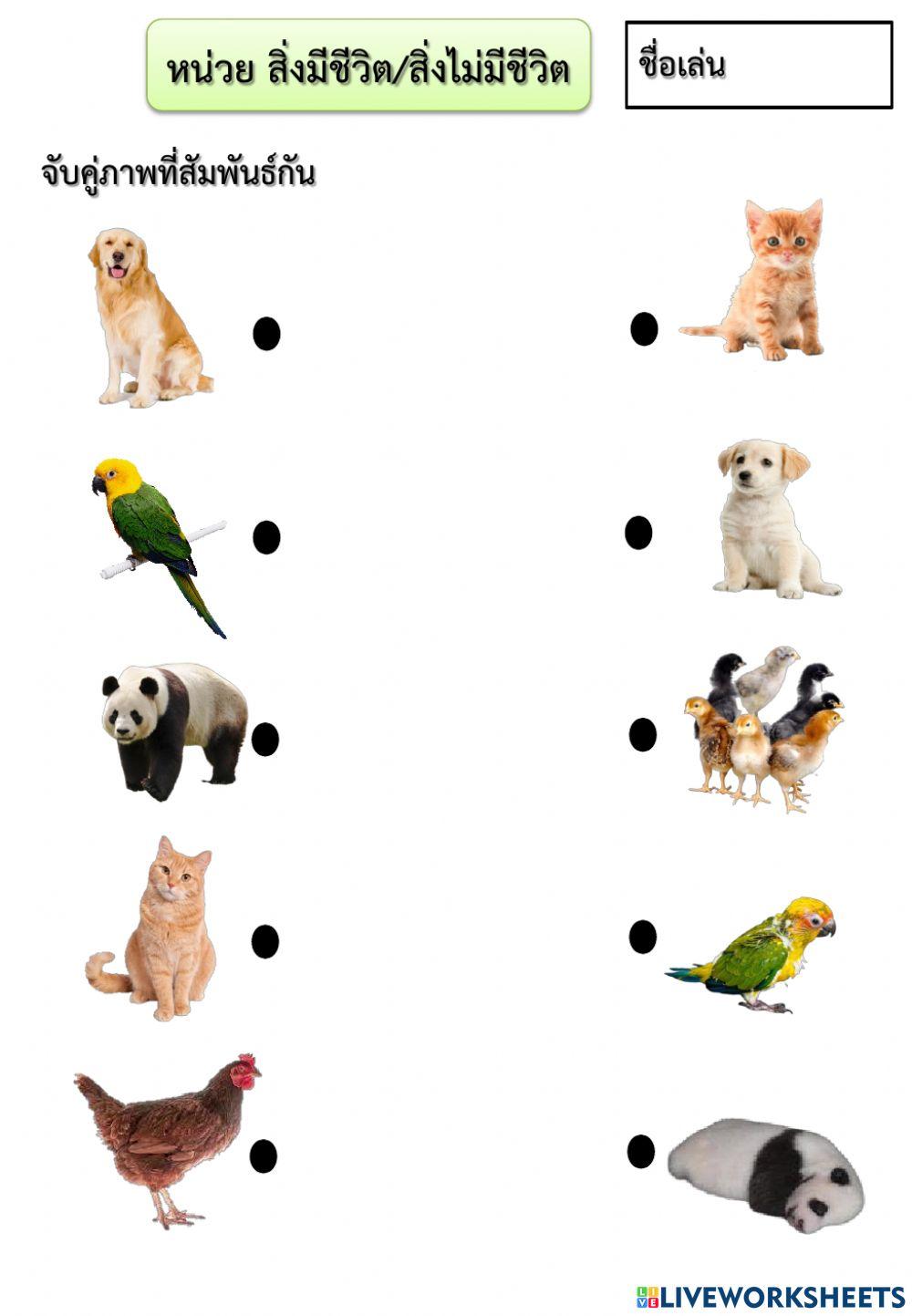 หน่วยสิ่งมีชีวิตและสิ่งไม่มีชีวิต