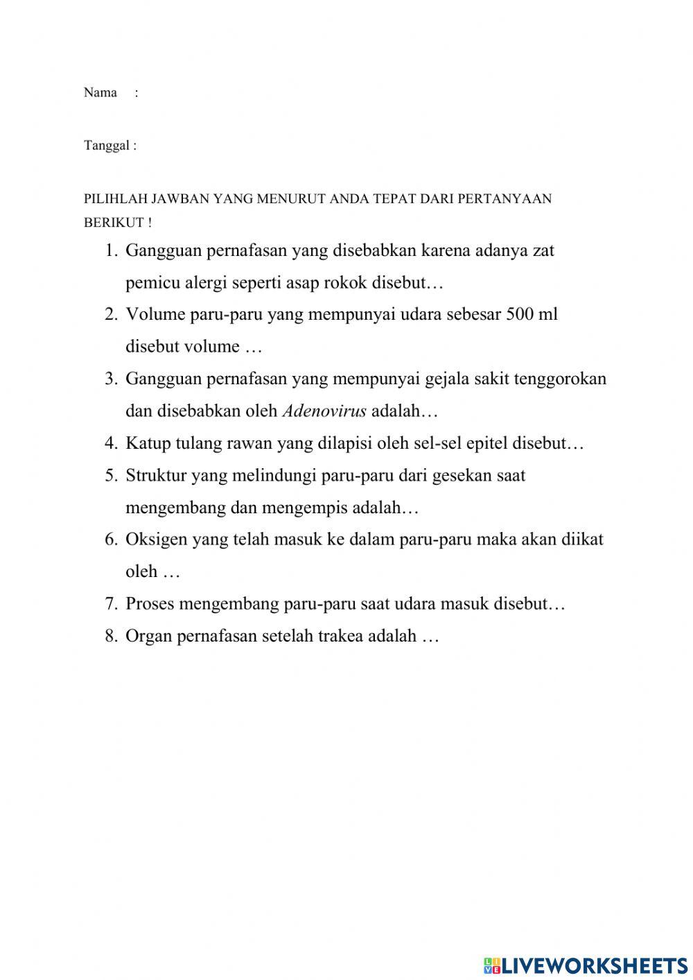 Sistem pernafasan manusia