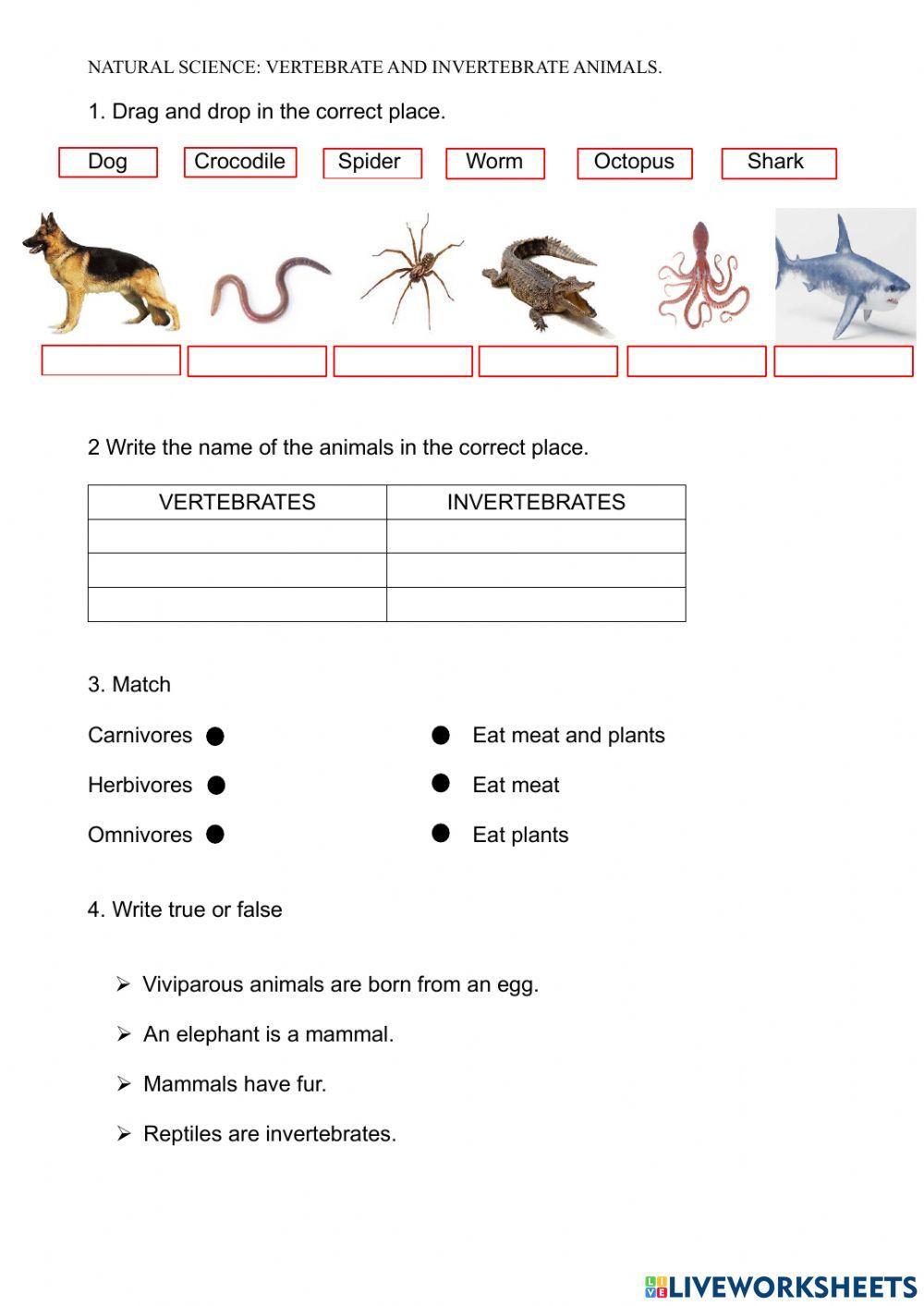 Animals:vertebrates and invertebrates