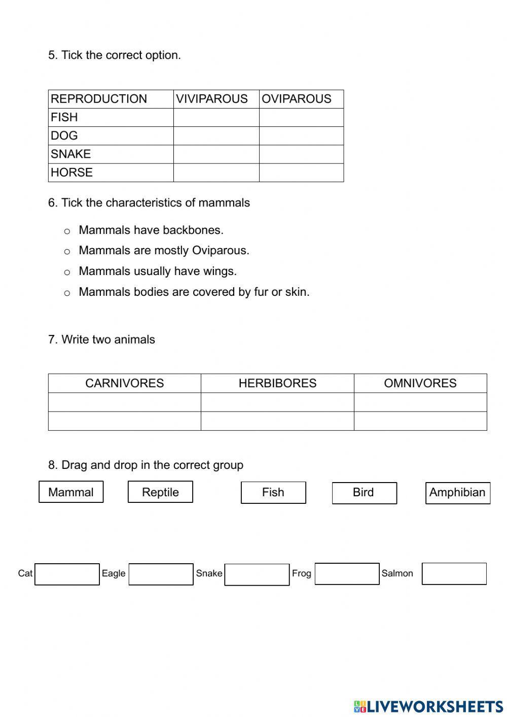 Animals:vertebrates and invertebrates