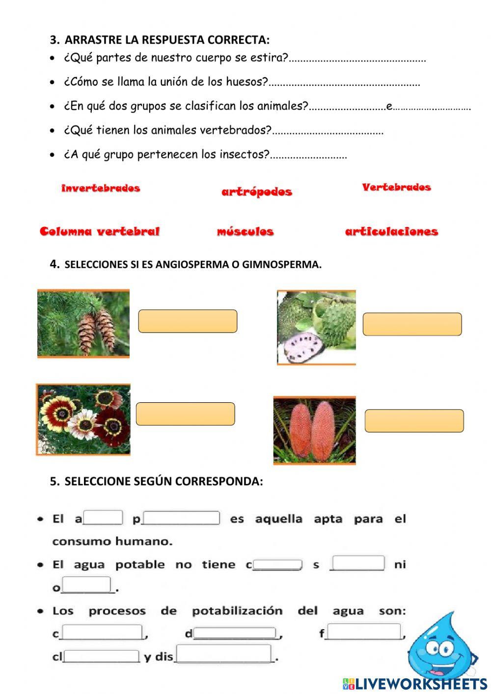 Examen ciencias 4EGB