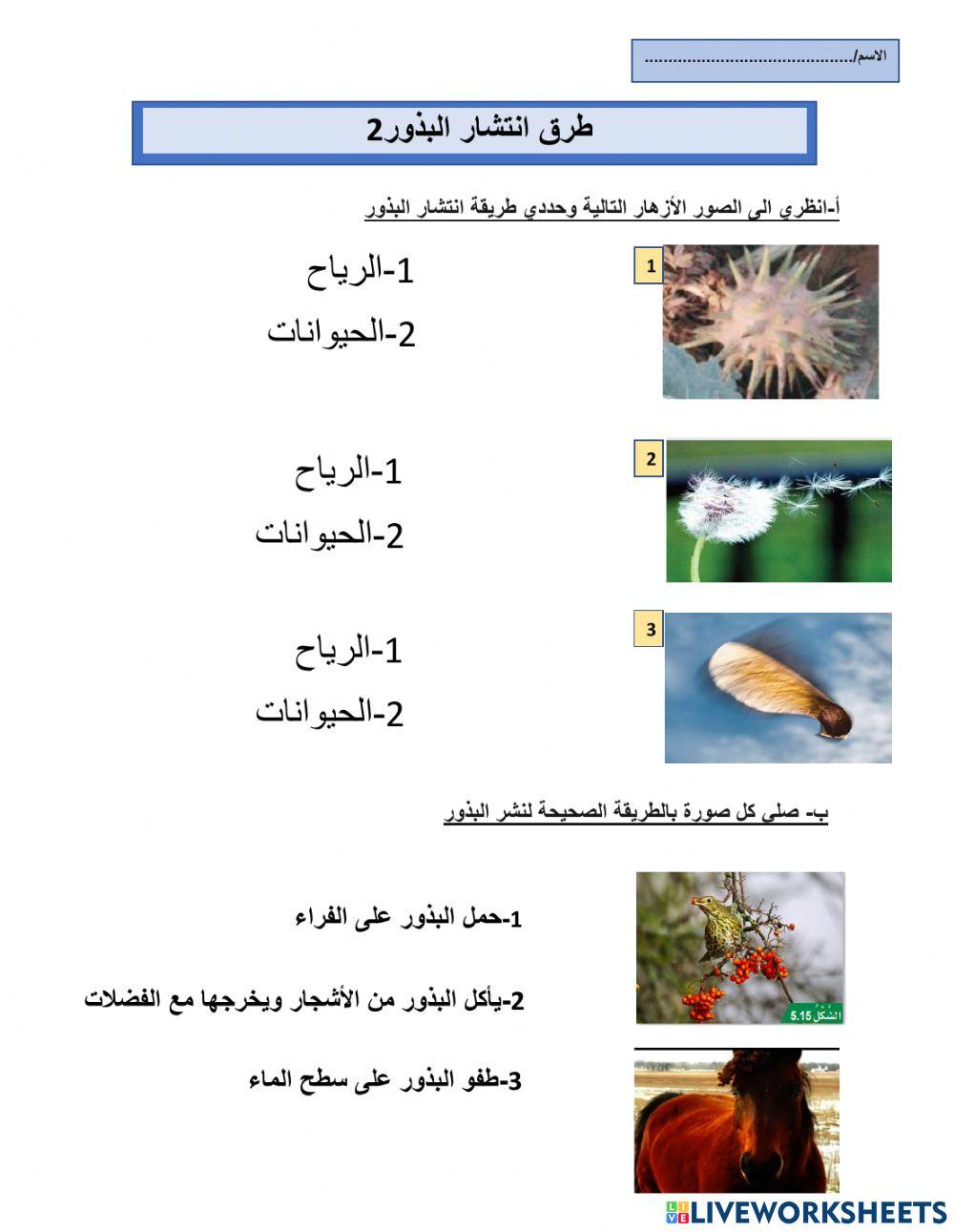 طرق انتشار البذور