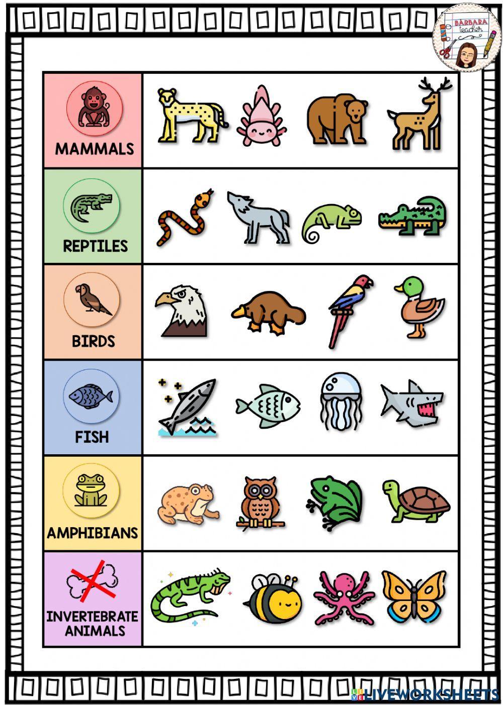 Vertebrate animals