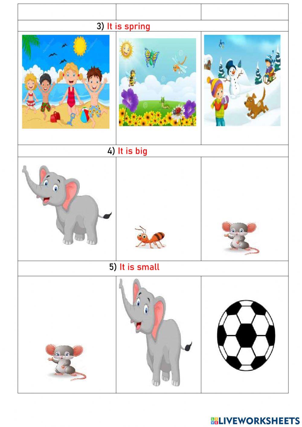 Test about seasons. prepositions