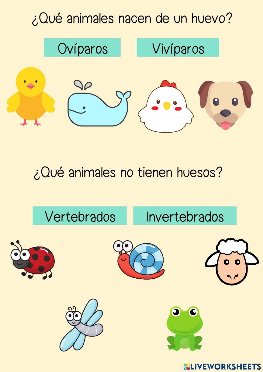 Los animales