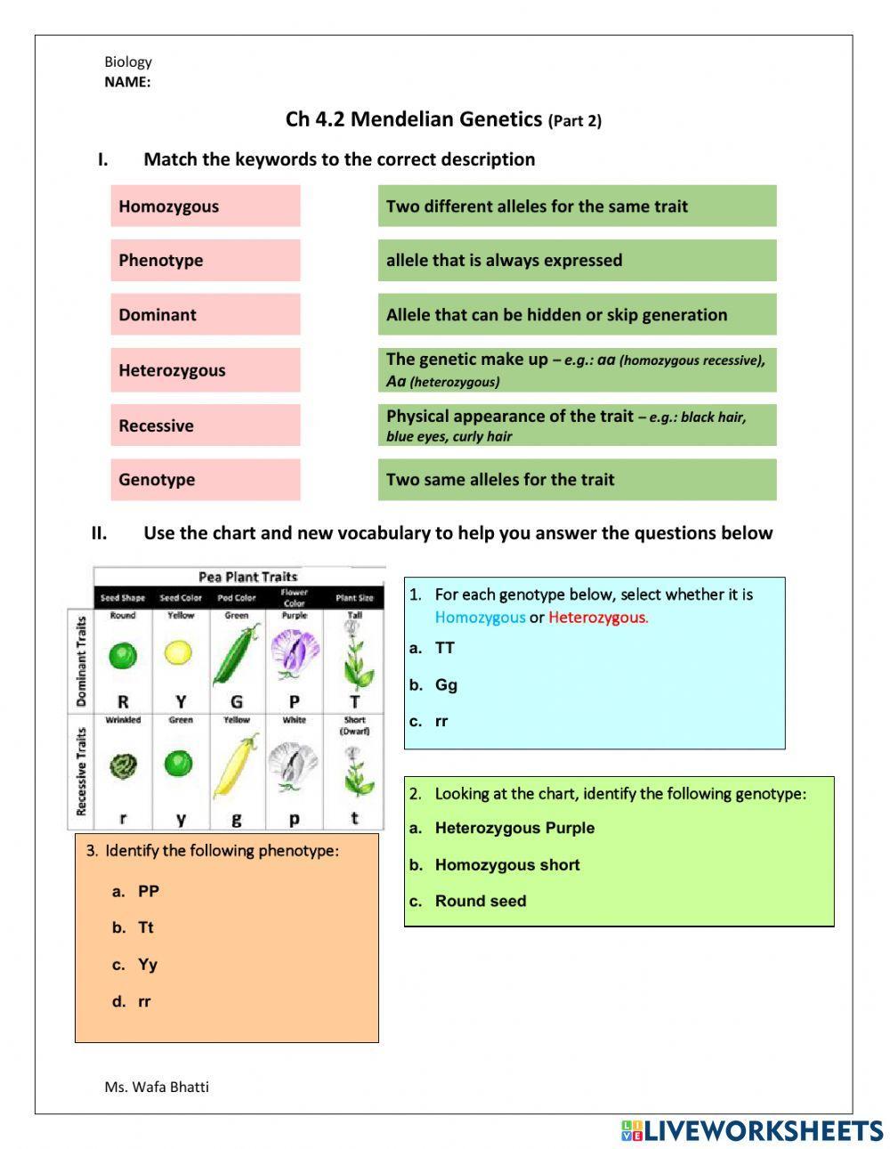 Mendel Worksheet
