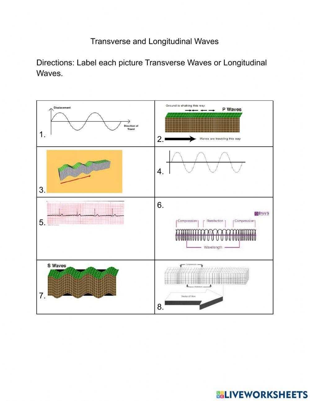 Transverse Waves and Longitudinal Wave