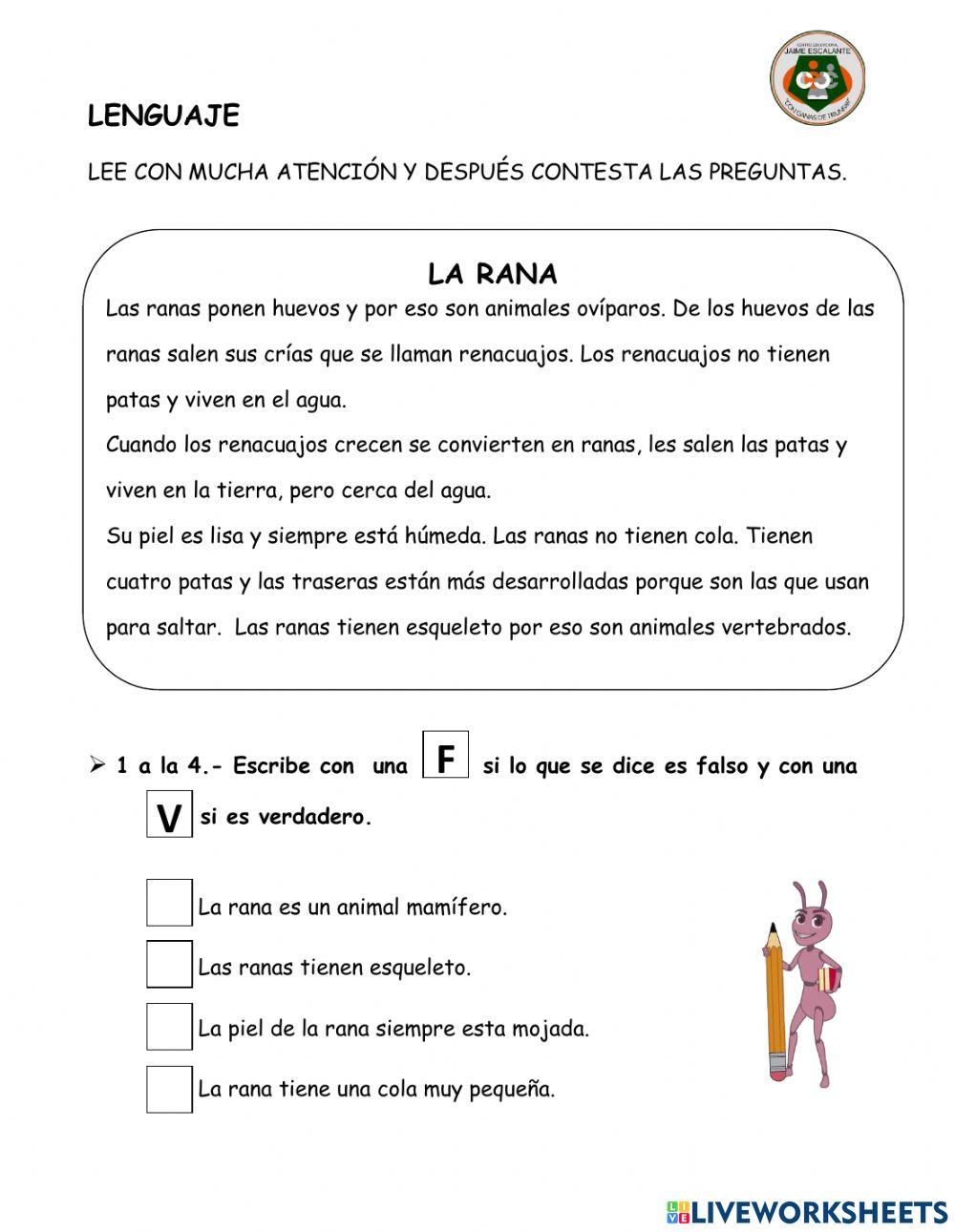 Diagnóstico 2do primaria