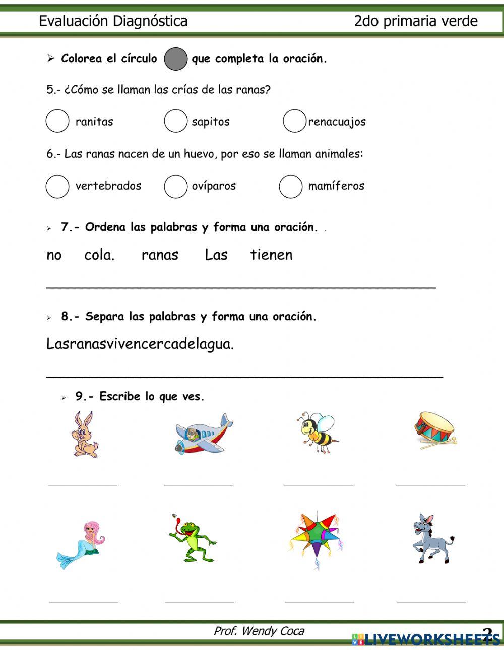 Diagnóstico 2do primaria