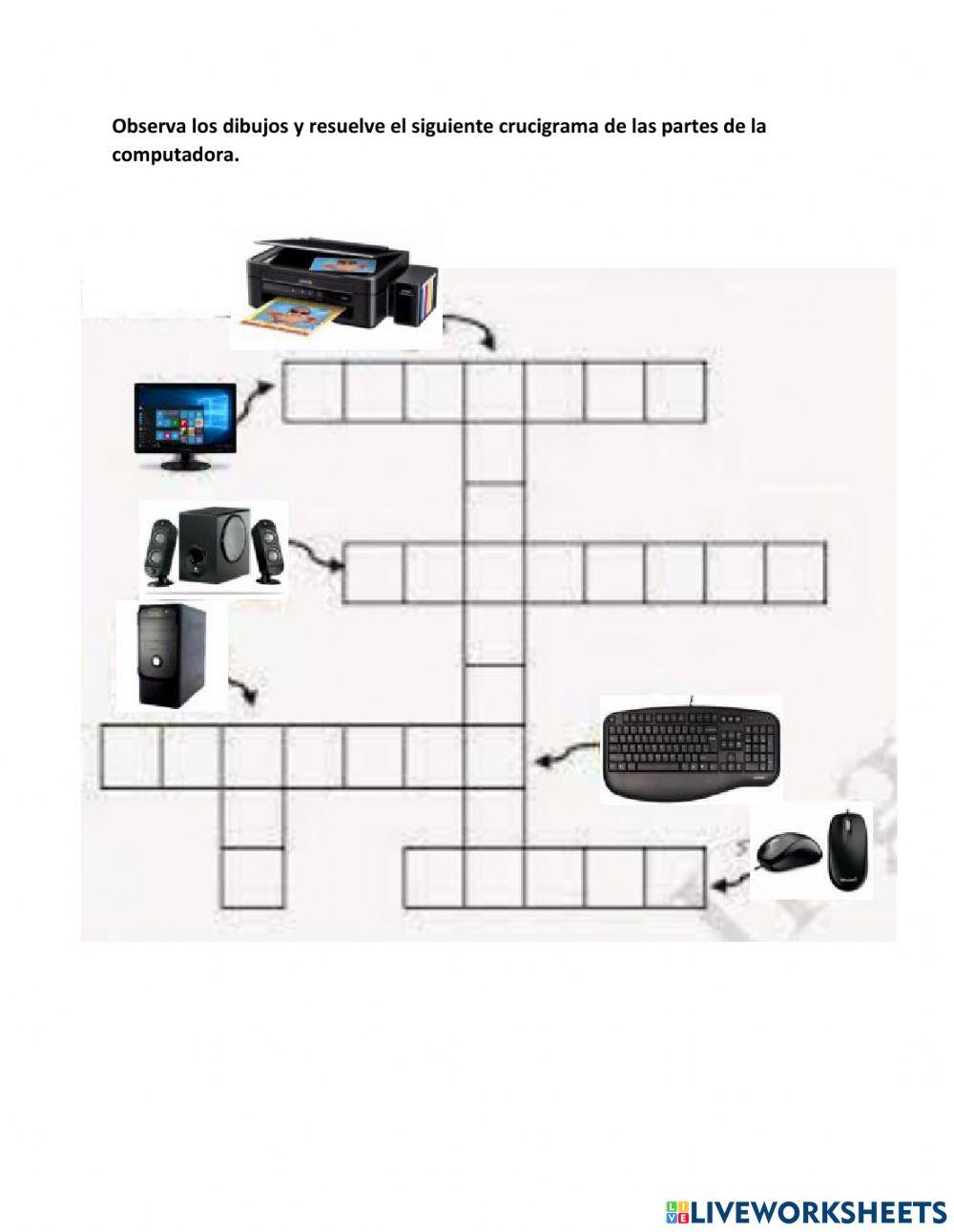 Partes de la computadora