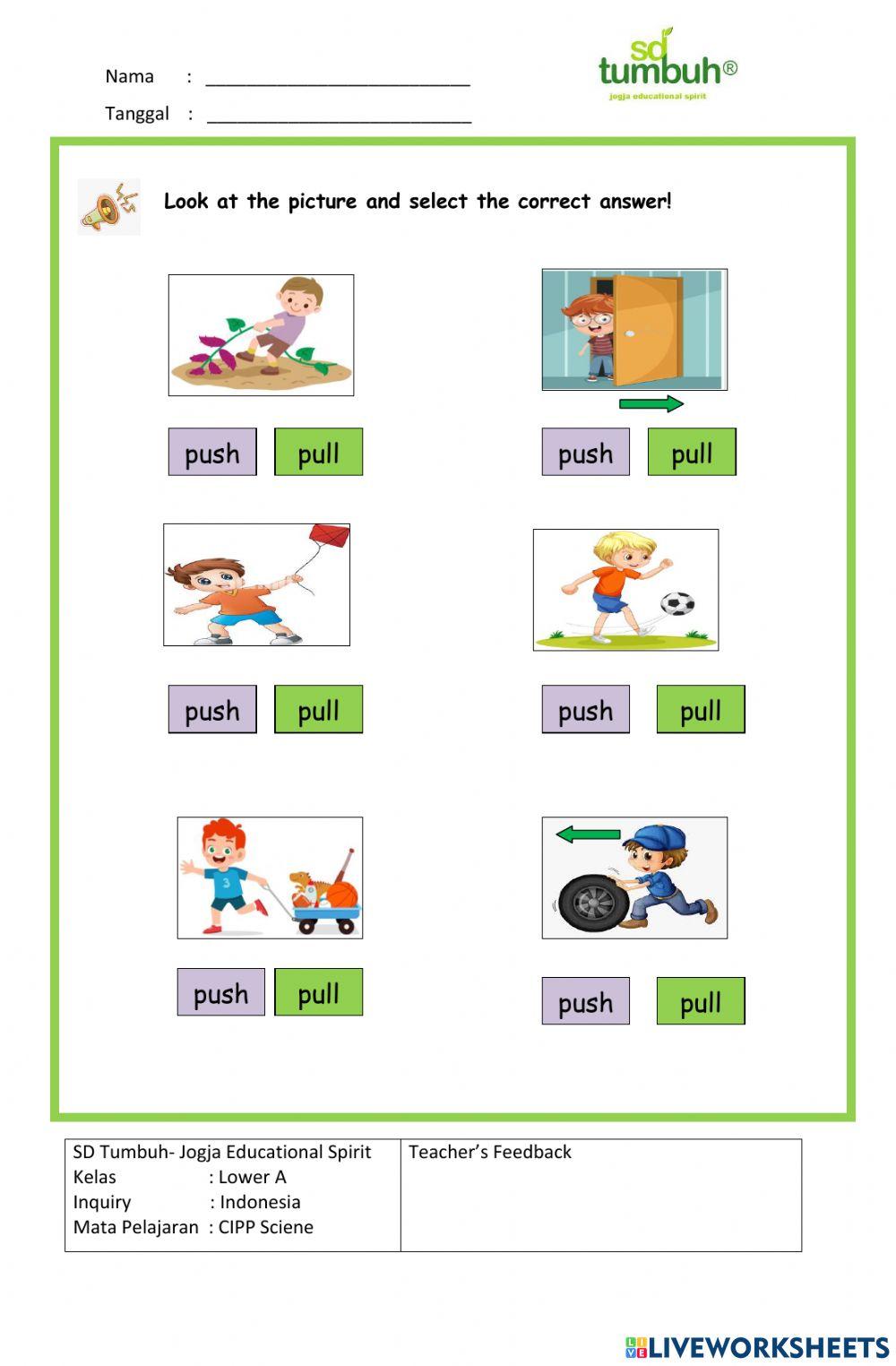 CIPP Science-Forces-Multiple Choice