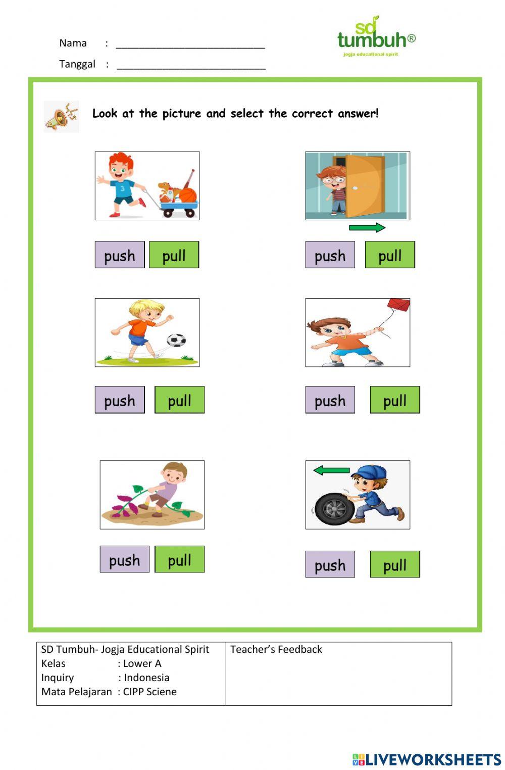 CIPP Science-Forces-Essay