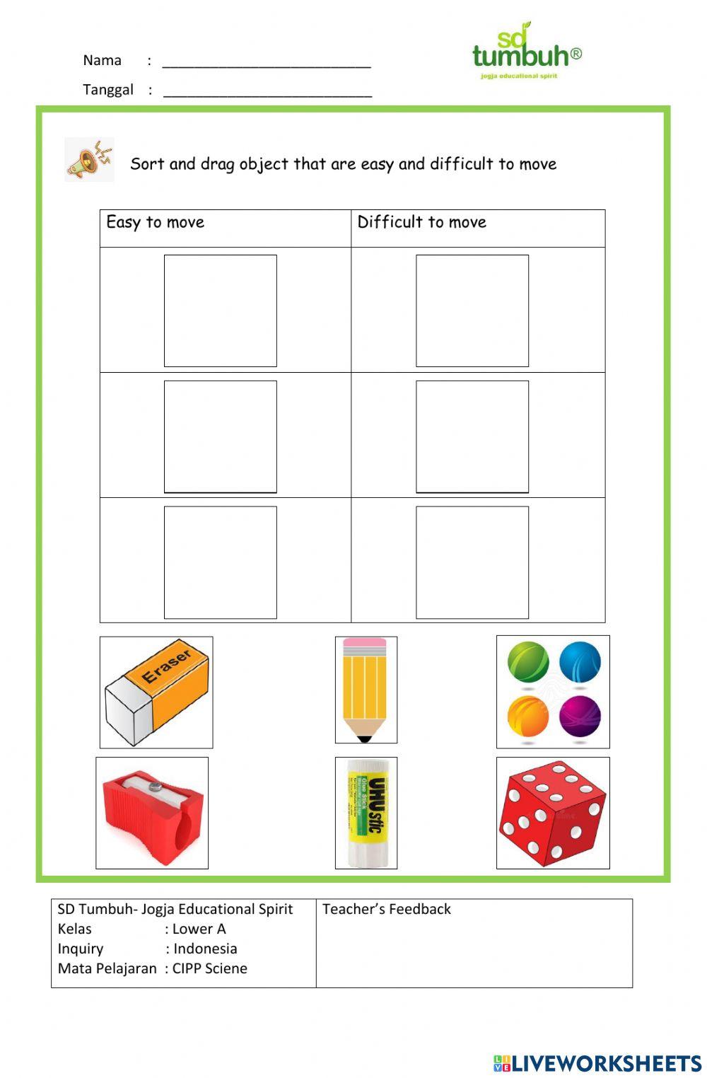 CIPP Science-Forces-Essay