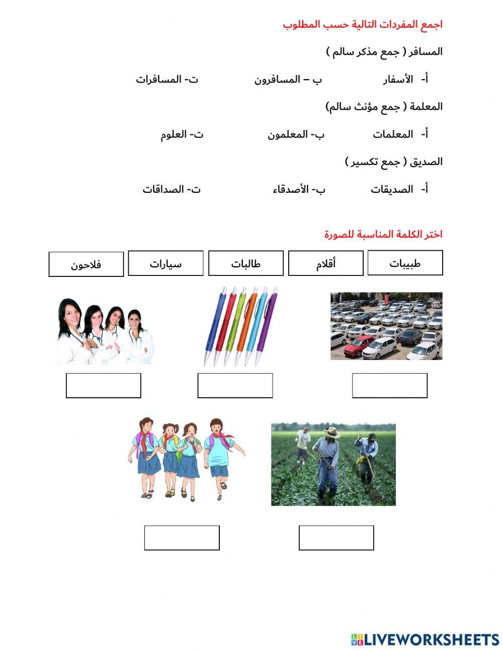 أنواع الجموع