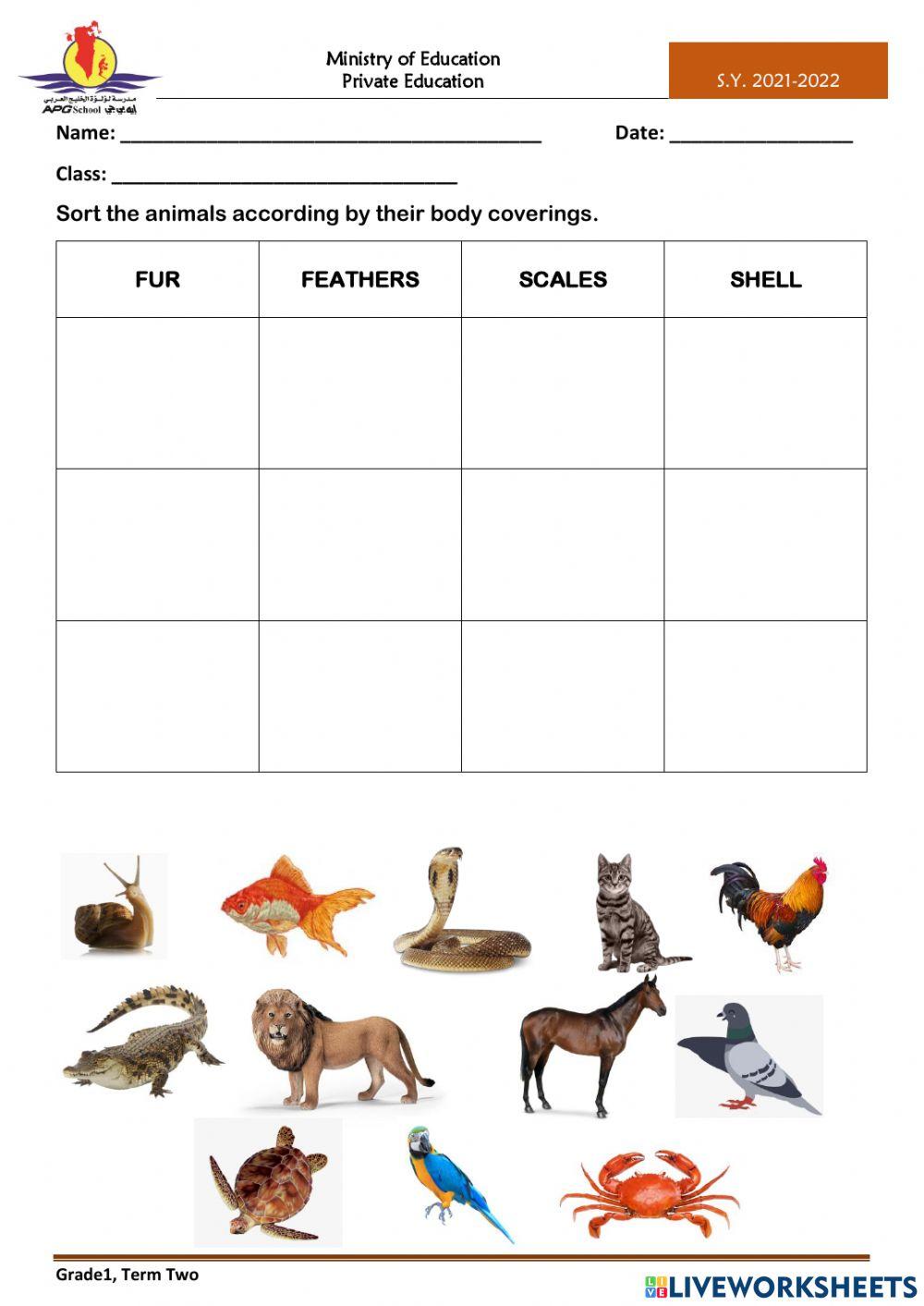 Body Coverings Ms.Sherlyn Live Worksheets