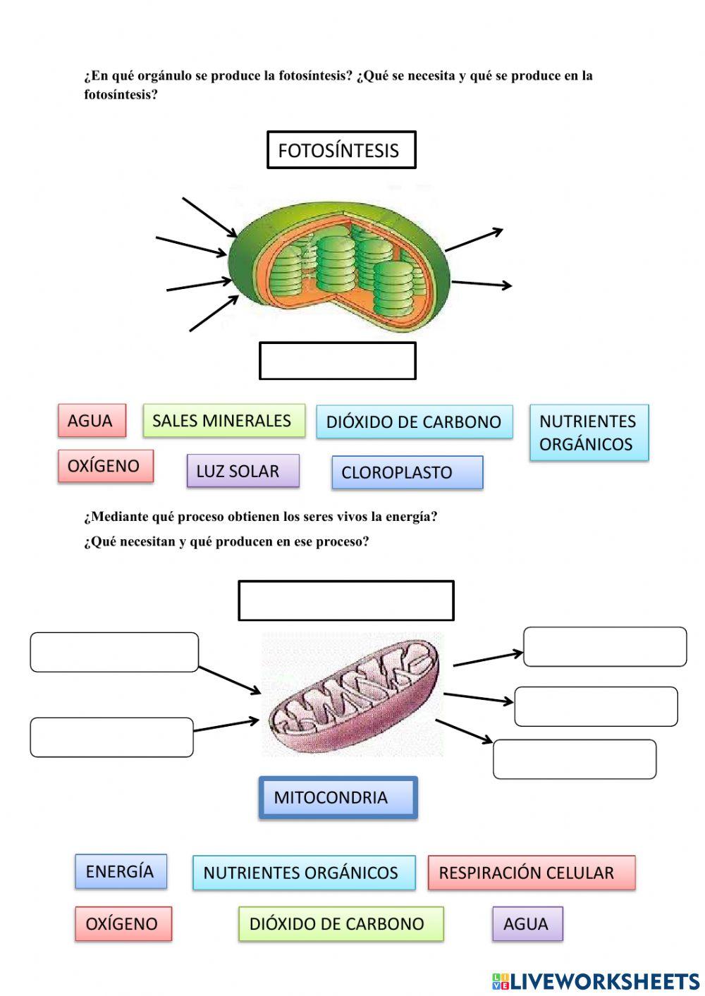 La Tierra, planeta habitado