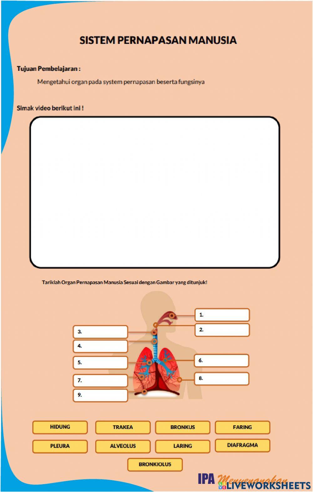 Lkpd 1 organ dan mekanisme pernapasan