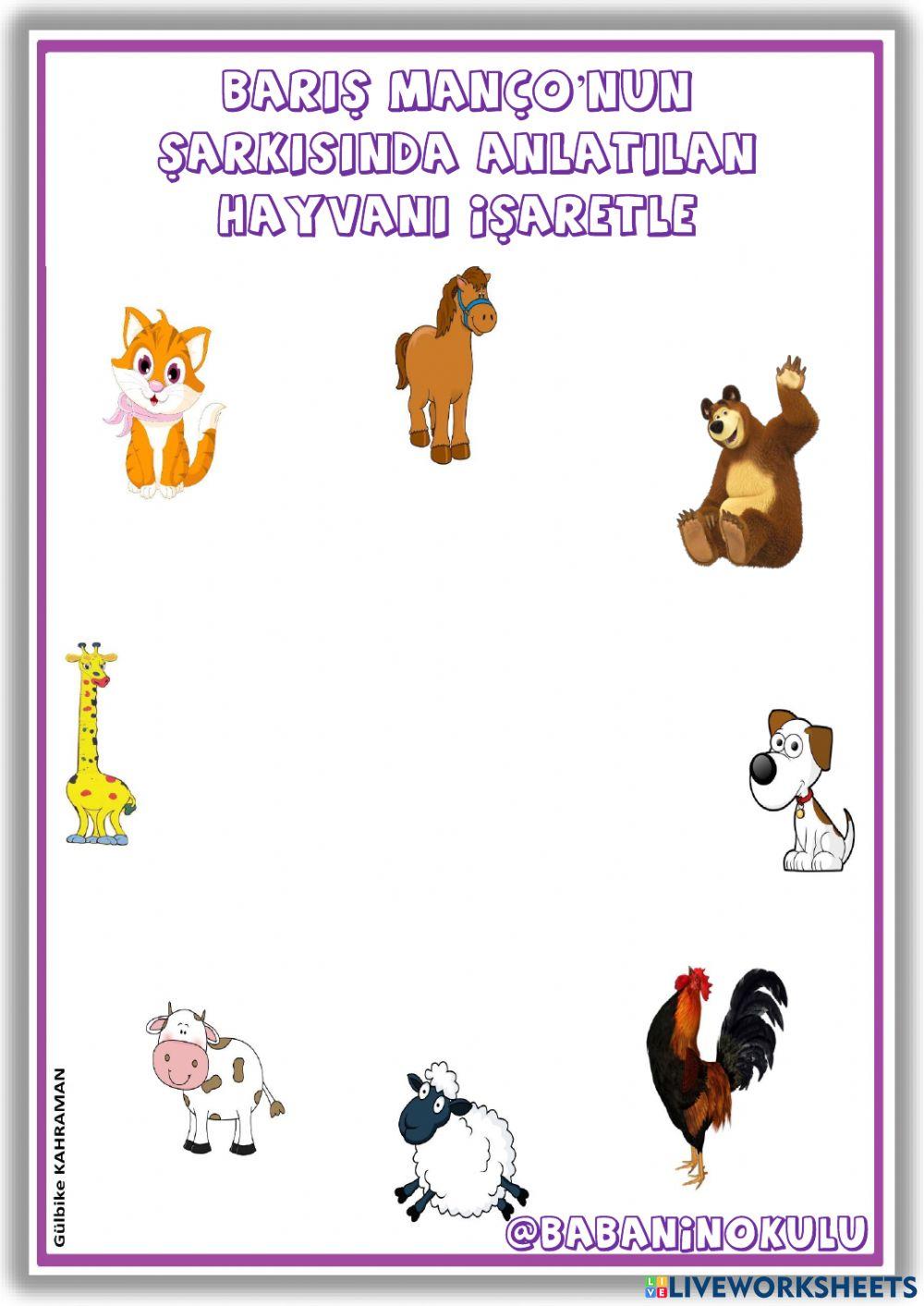 BARIŞ MANÇO BARIŞ MANÇO