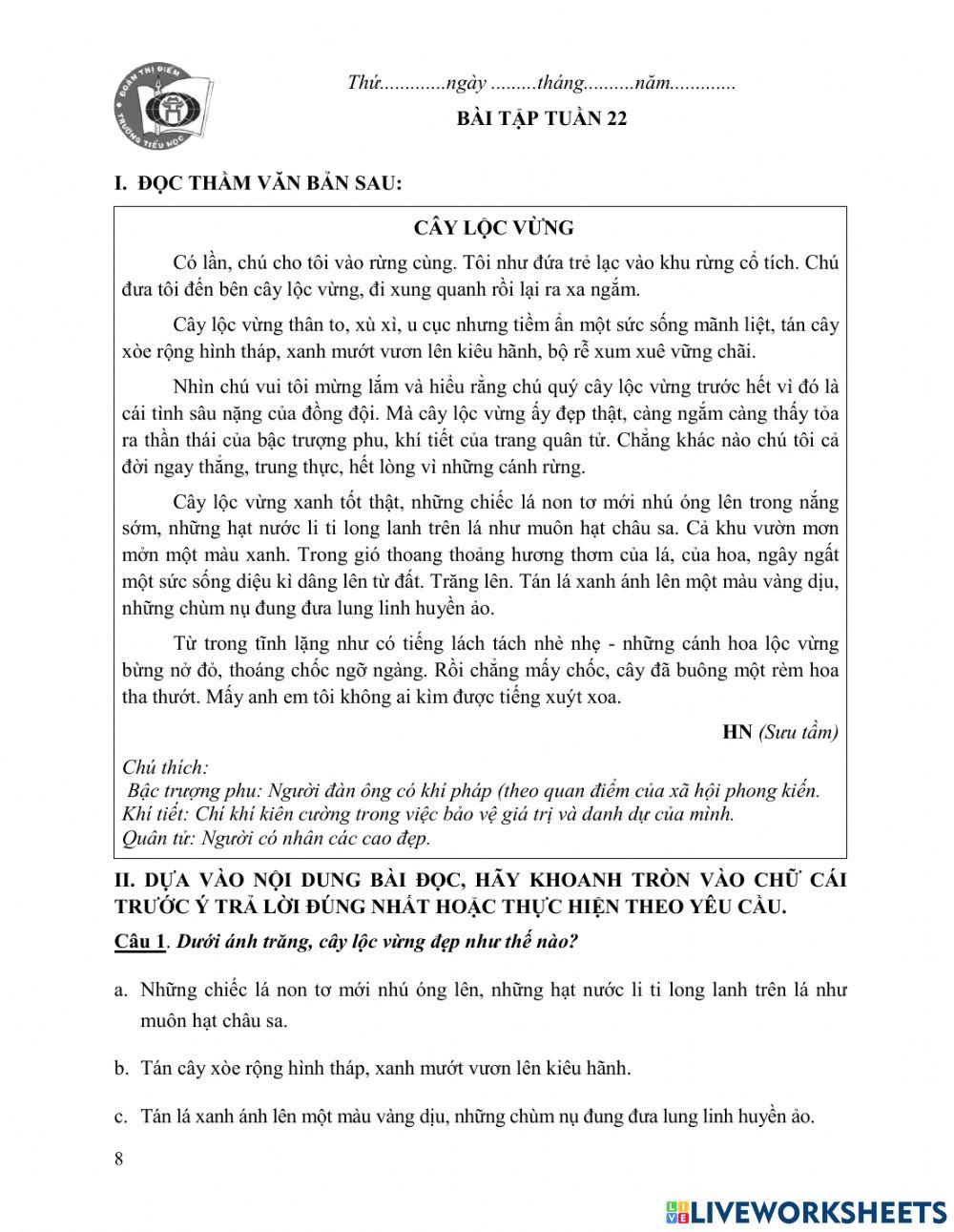 Tiếng Việt cuối tuần 22