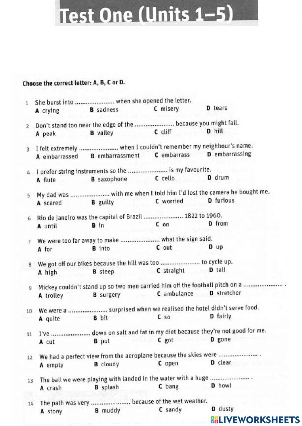 FCE FIRST B2 FINAL VOCABULARY TEST