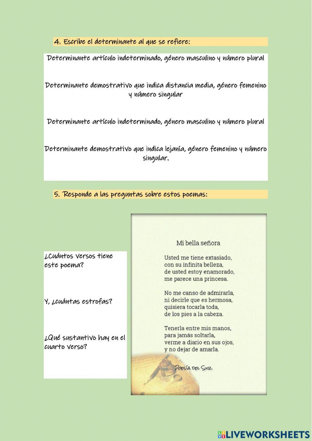 GRAMATICA: Artículos, demostrativos, sustantivos y verbos. Poesía