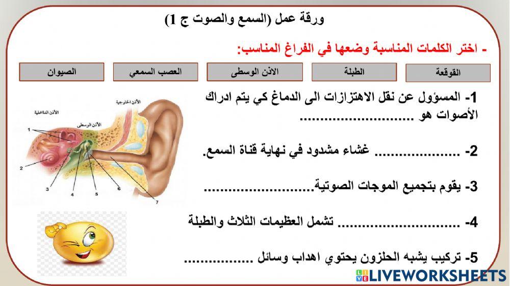 السمع والصوت