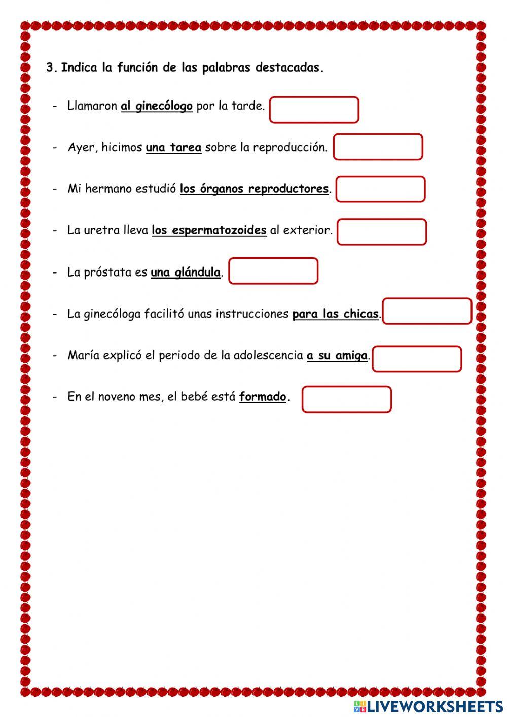 Complemento indirecto Complemento indirecto