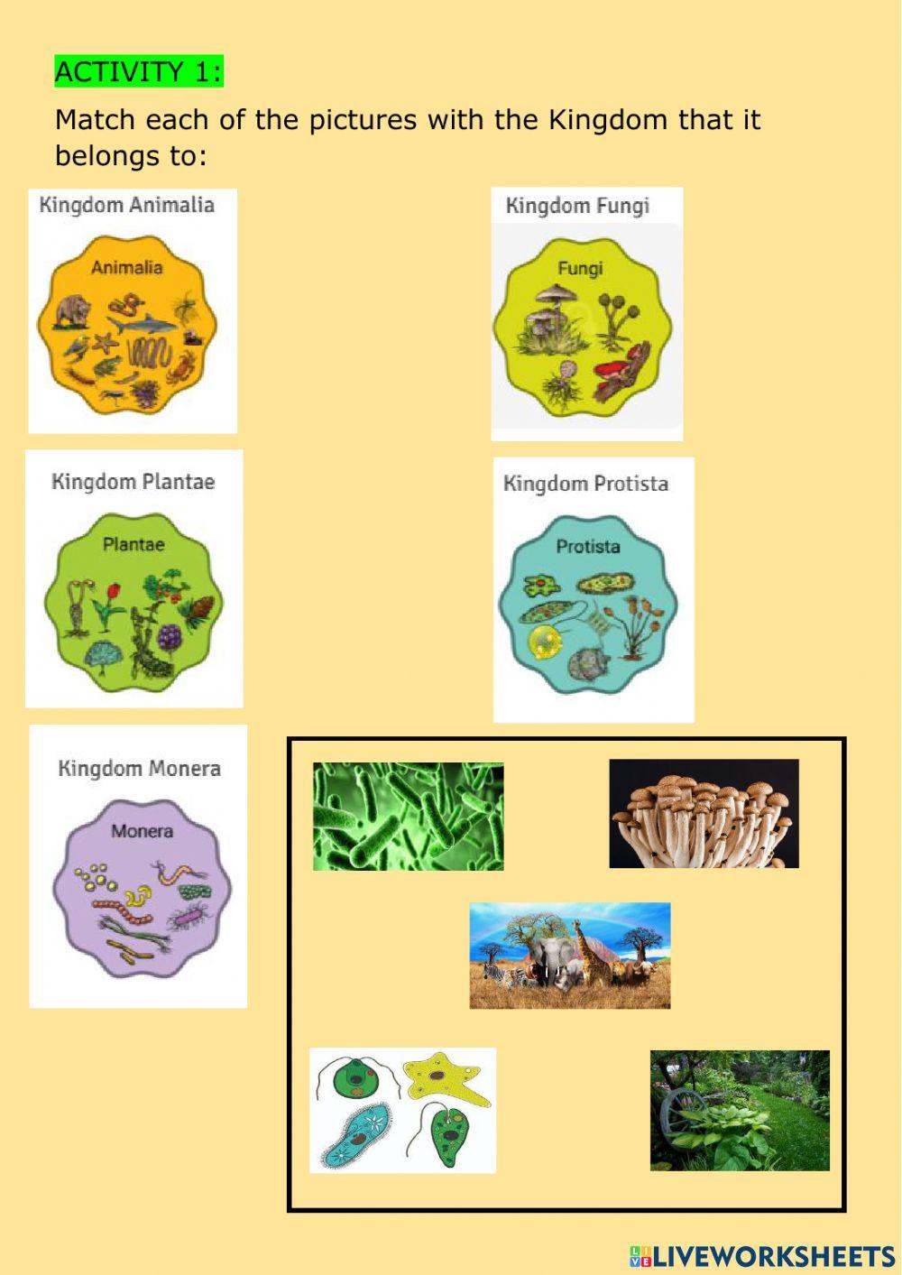 the-animal-king-free-interactive-worksheets-6830716