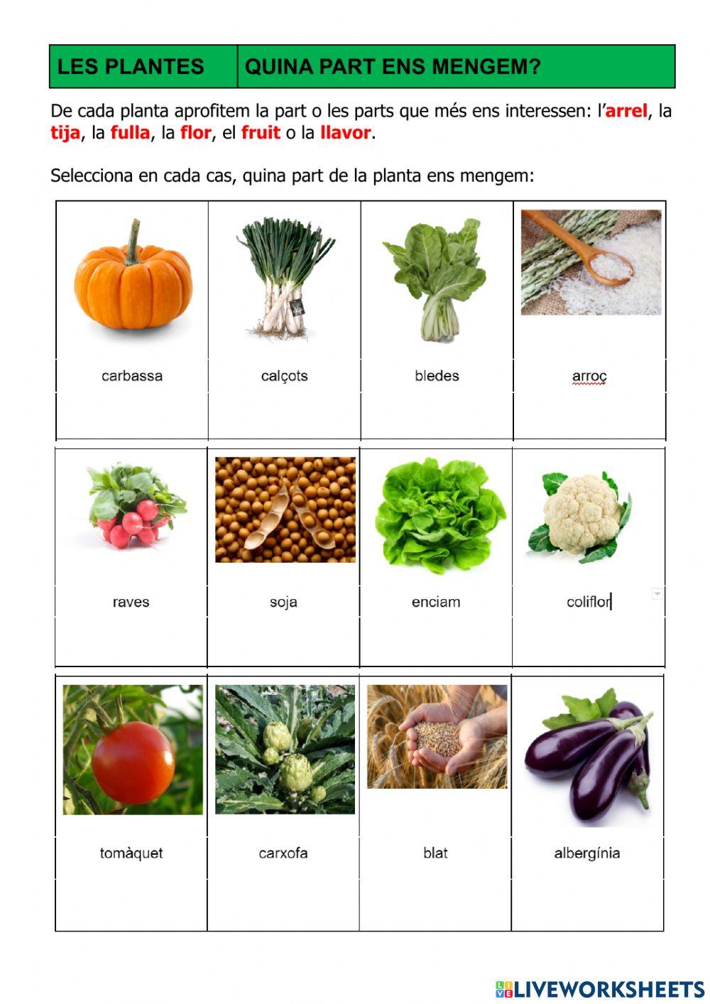 Les plantes - Quina part ens mengem?