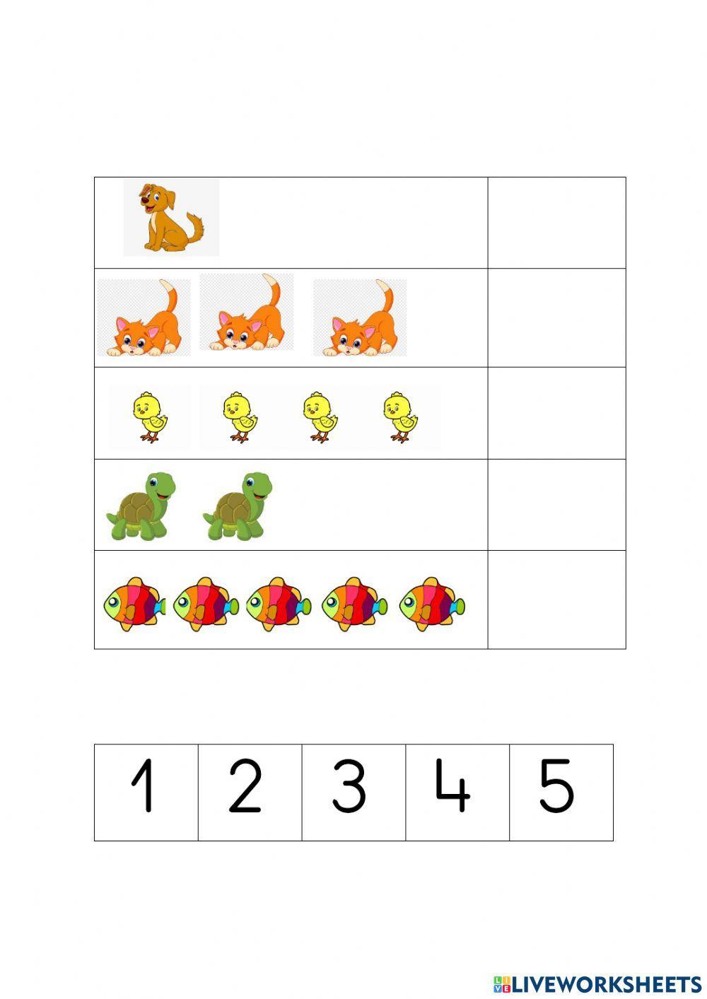 Asignar grafía- cantidad