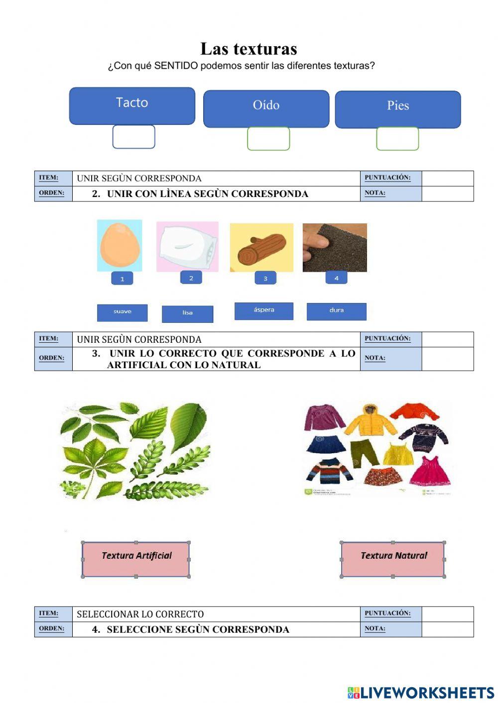Guìa de estudio tercero