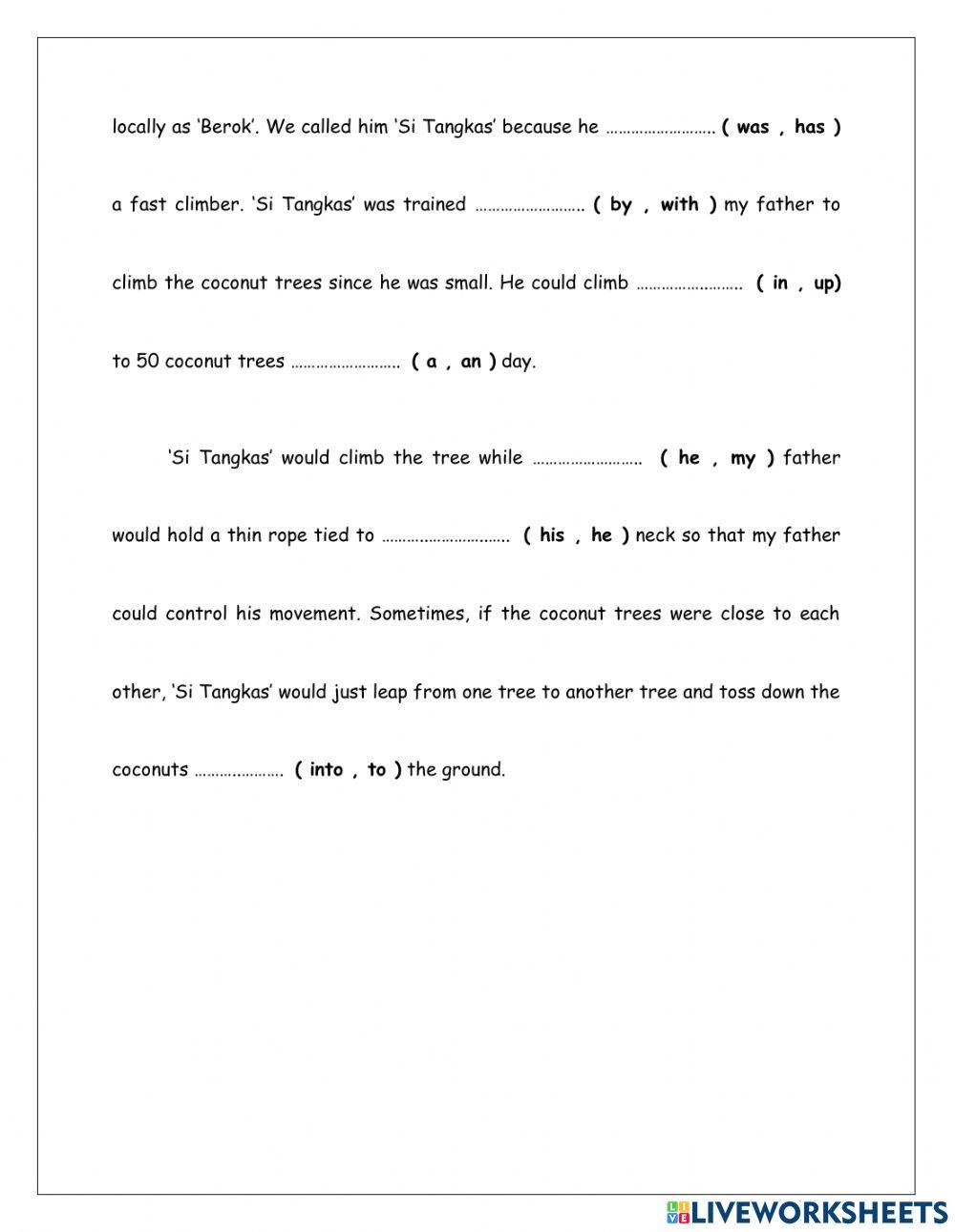 Si Tangkas the Pig-Tailed Monkey