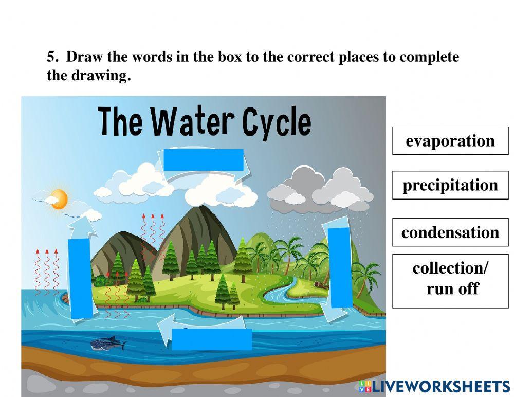 Science- Matter & Water Cycle