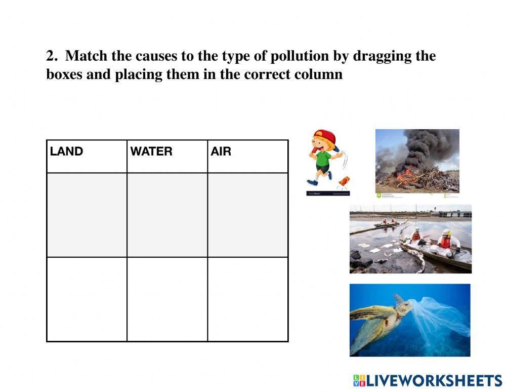 Social Studies Quiz 4