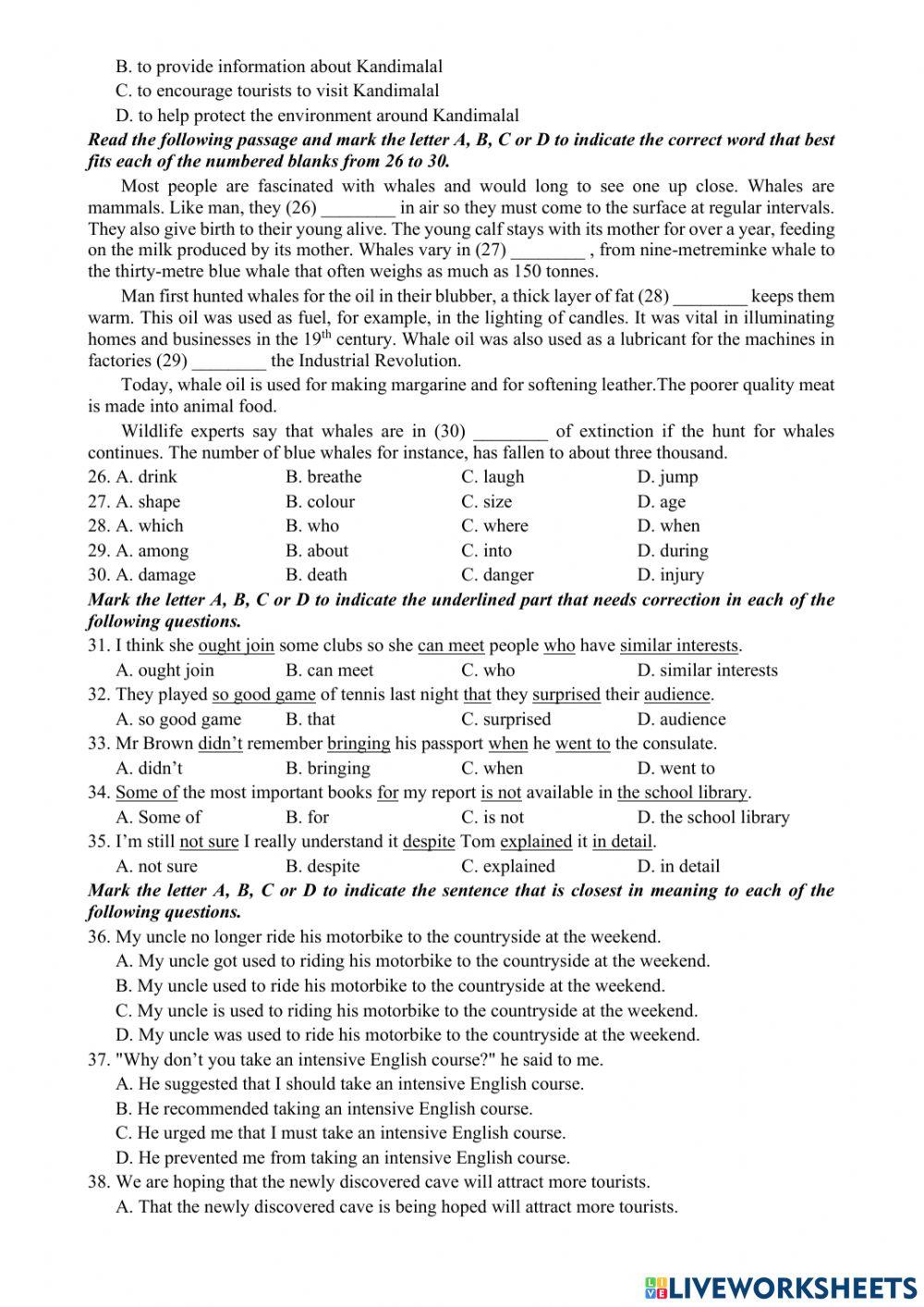 Đề số 13 (vào 10 )