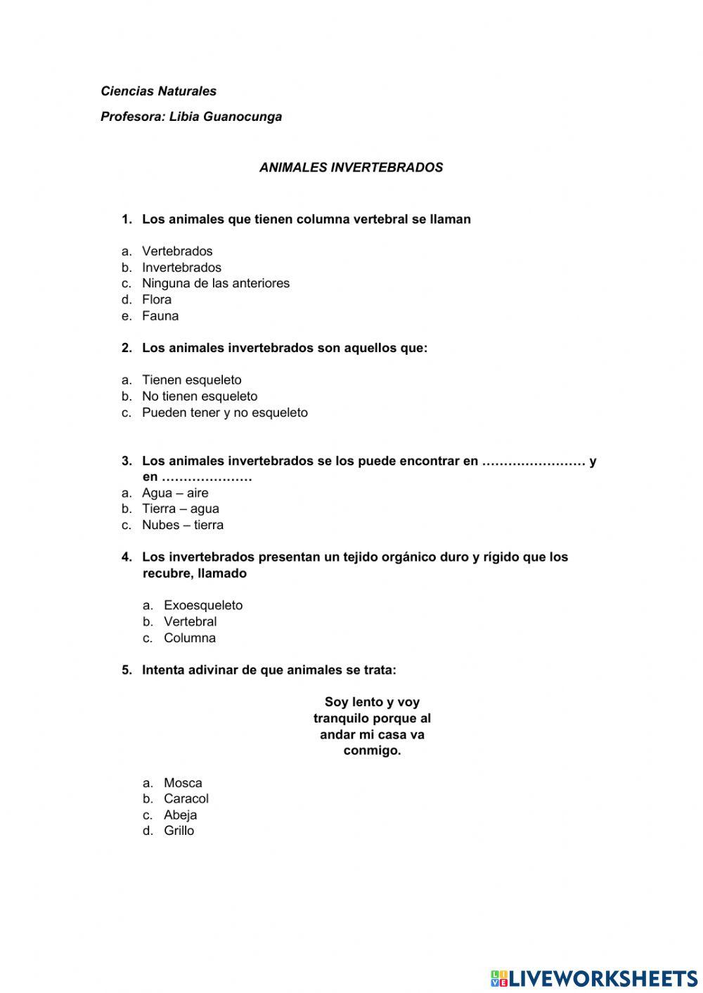 Animales Invertebrados